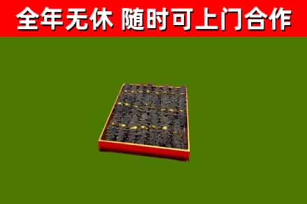 日土回收海参